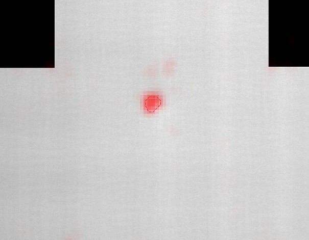 Line-scan image of a door skin with a dent detected and outlined in red by the system